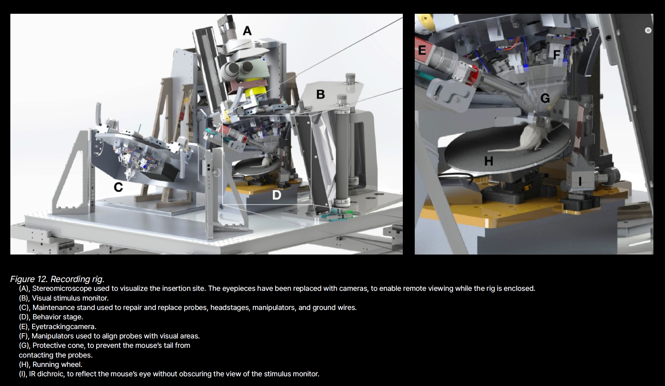 Experimental Environment